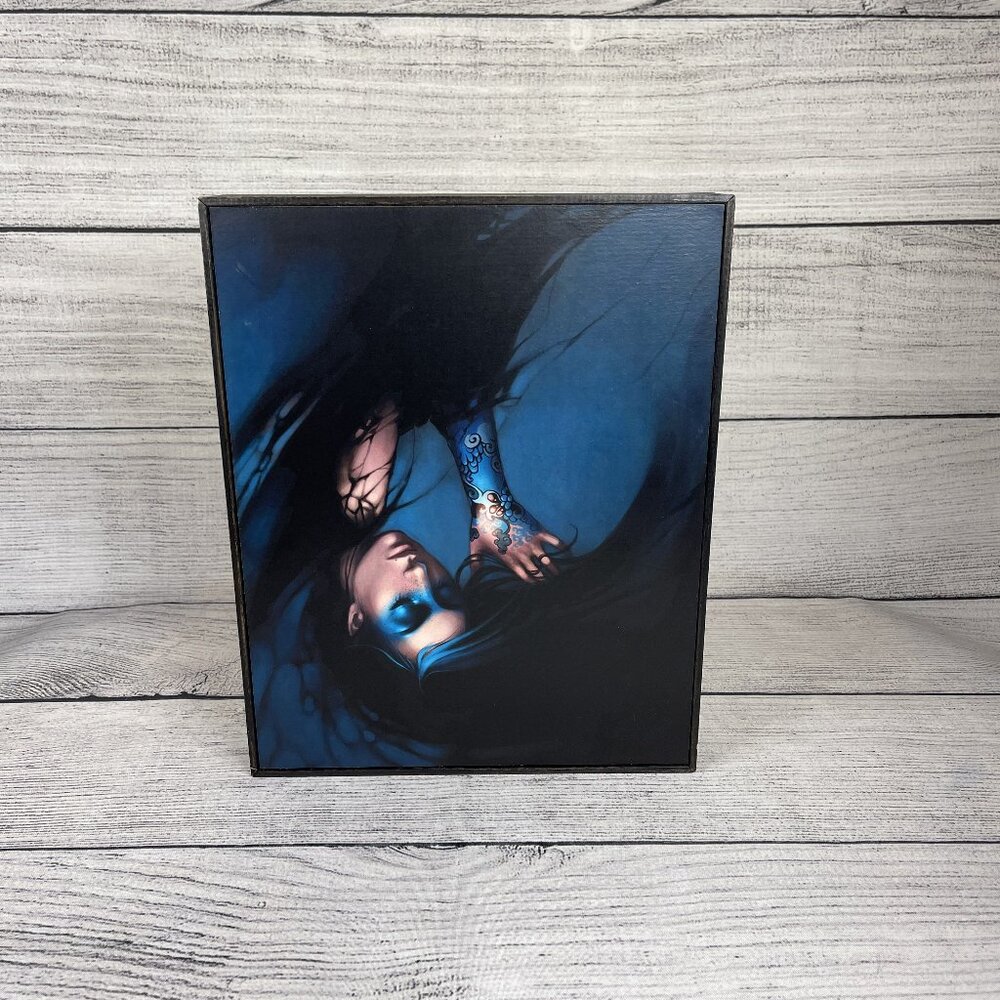 Charlie Bowater Sigur Mini Art Block Framed Print 10x12